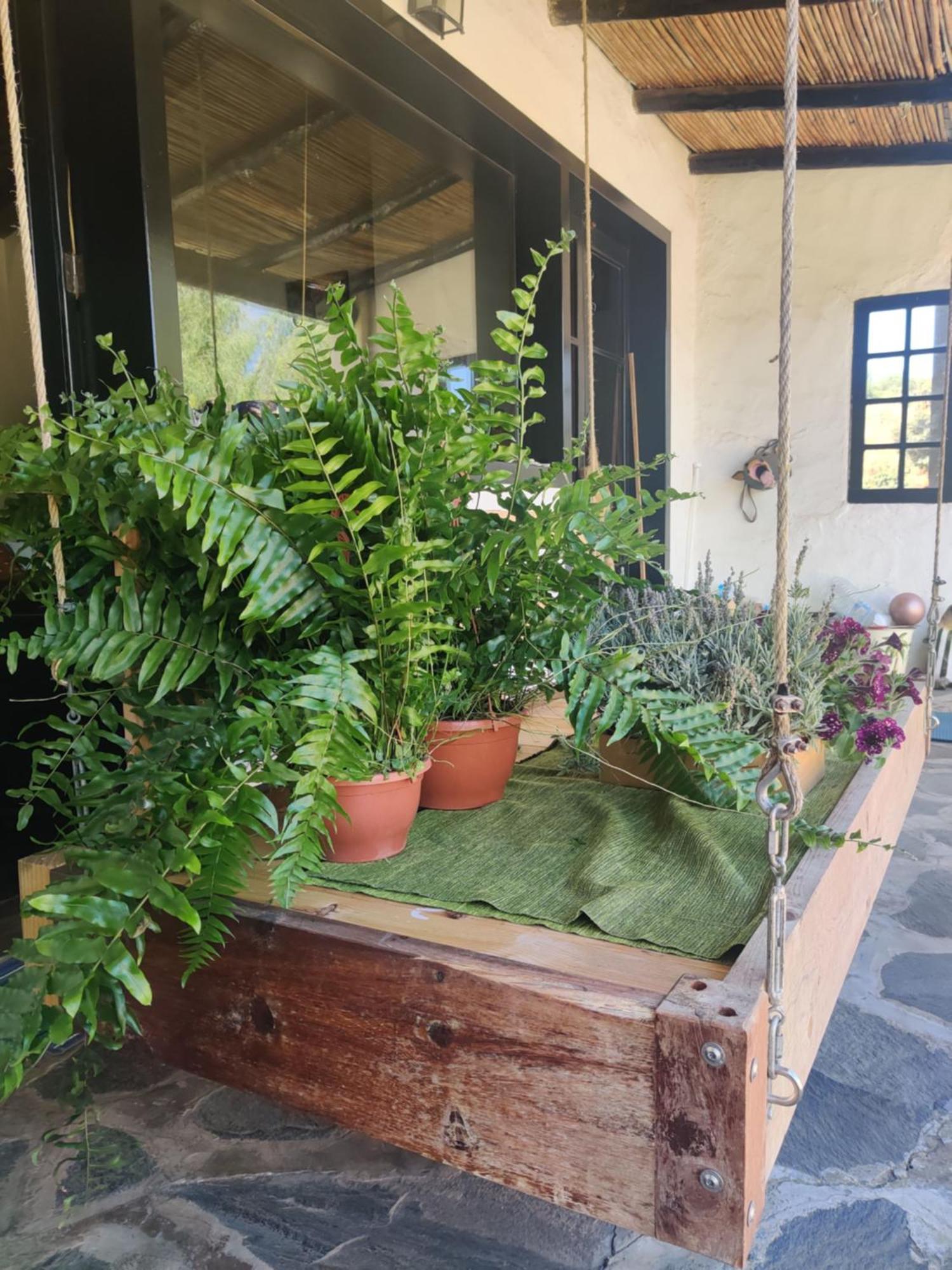Estudio Wabi-Sabi سانتا بريخيذا المظهر الخارجي الصورة